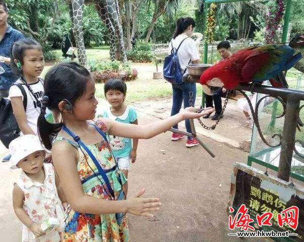 海口美丽乡村旅游（乡村游亲子游引爆端午旅游市场）(2)