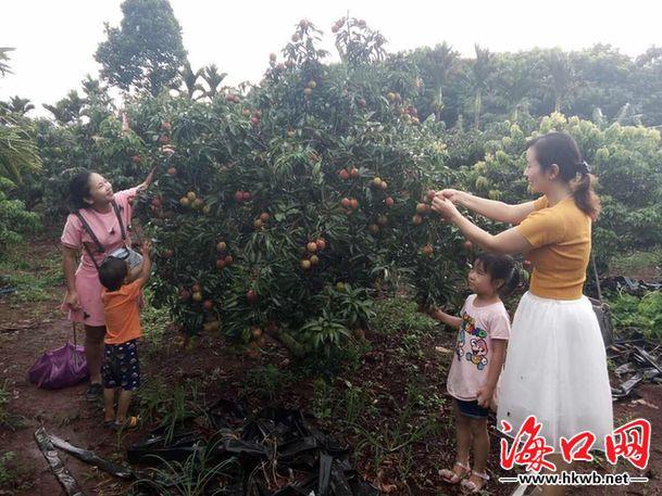 海口美丽乡村旅游（乡村游亲子游引爆端午旅游市场）(1)