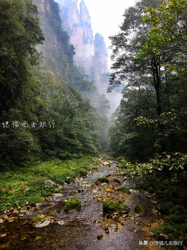 怎么玩张家界（湖南张家界中级玩法）(11)