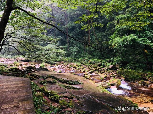 怎么玩张家界（湖南张家界中级玩法）(9)