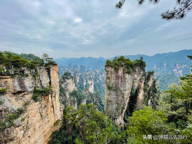 怎么玩张家界（湖南张家界中级玩法）(14)