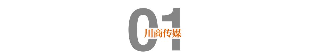 如何理解放管服优化营商环境（重磅四川印发深化）(4)