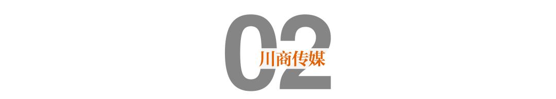 如何理解放管服优化营商环境（重磅四川印发深化）(5)