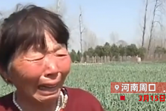 22亩大蒜莫名枯死，农户哭诉被人打药，产量有10万斤